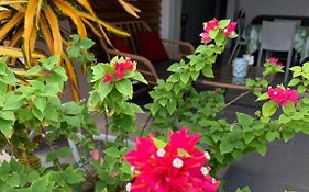Le Tropical Appartement 1 Ou 2 Chambres