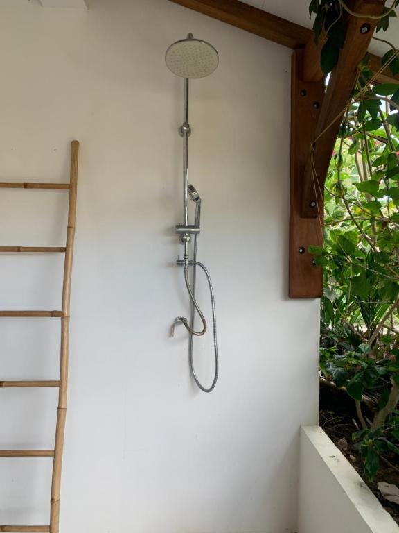 Le Tropical Appartement 1 Ou 2 Chambres Les Anses-d'Arlet Extérieur photo